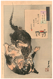 月耕 Gekko 『月耕随筆 鼠と猫』-猫の図-