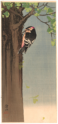 �ɓ����R  (��ǂɑ�ؒ�)