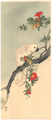 �ɓ����R (�Ξւ��_��)