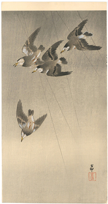 ������絁@Ohara Koson�@�w�J���̐璹�x