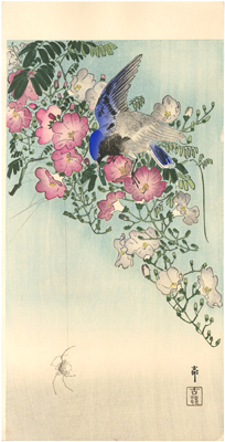 ������絁@Ohara Koson�@�w��躉Ԃɏ��ڗ��ƒw偁x