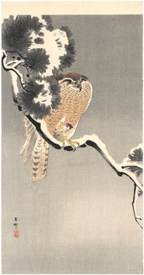 ������� (�ᏼ�ɑ��Ɖ��ߒ�)