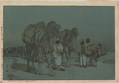 �g�c���@Yoshida Hiroshi�@�w�A�t�K�j�X�^���̃L�����o���@����x