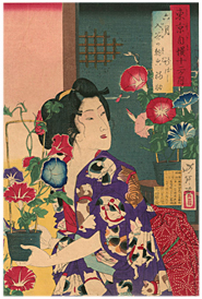 芳年 Yoshitoshi 『東京自慢十二ヶ月 六月入谷の朝顔』‐朝顔・猫‐
