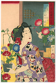 芳年 Yoshitoshi 『東京自慢十二ヶ月 六月 入谷の朝顔』