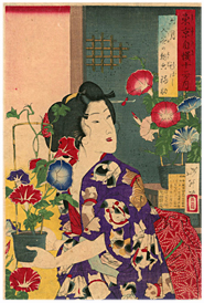 芳年 Yoshitoshi 『東京自慢十二ヶ月 六月 入谷の朝顔』