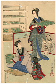 東江 Toko 『養蚕図』-猫の図-