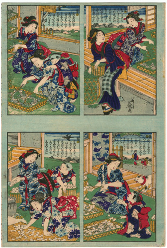 �F�� Yoshifuji�@�w(�{�\�̐})�x-�L�̐}-