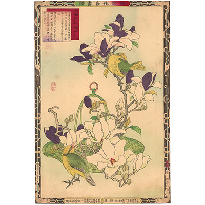 楳嶺 「楳嶺花鳥画譜　木蘭　雲雀」