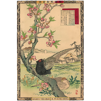 楳嶺 「楳嶺花鳥画譜　桃　雉子」